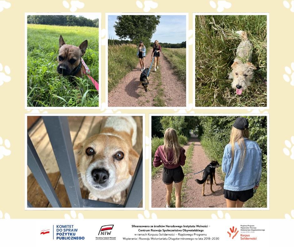 Participants in the cleanup event walk toward the lakeshore carrying a trash bag.